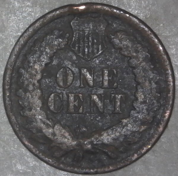 1897-Indian-Head-Cent-For-Grading